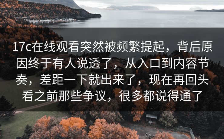 17c在线观看突然被频繁提起，背后原因终于有人说透了，从入口到内容节奏，差距一下就出来了，现在再回头看之前那些争议，很多都说得通了